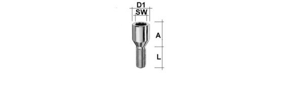 Radschrauben M14x1,5 60° Kegel mit Stern