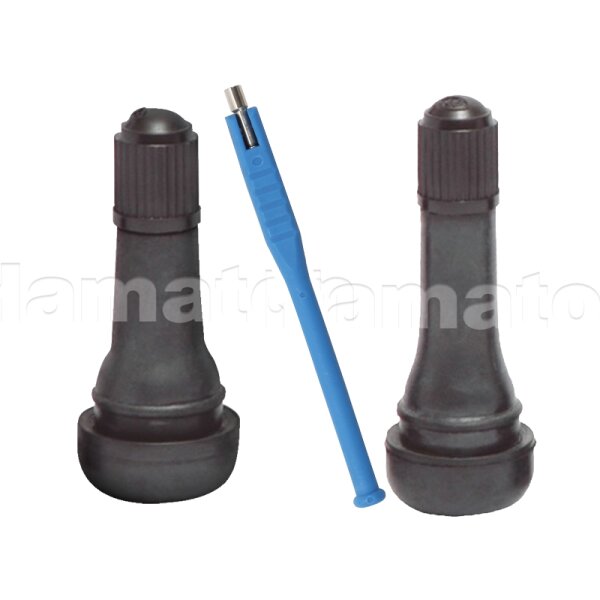 Das Bild zeigt drei Gegenstände vor weißem Hintergrund. Ganz links und ganz rechts befinden sich zwei identische schwarze Gummiventile, wie sie häufig an Autoreifen zu finden sind. In der Mitte ist ein schmaler, blauer Stift mit einer Metallspitze zu sehen. Dieser Stift ist ein Werkzeug, das oft zum Entfernen oder Montieren der Gummiventile genutzt wird. Die Ventile sind zylindrisch und haben oben einen geschraubten Verschlussdeckel. Der blaue Stift ist deutlich dünner als die Ventile.