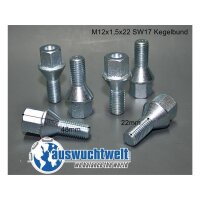 Das Bild zeigt sechs silberne Radschrauben aus Metall auf...