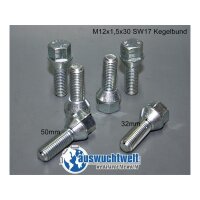 Das Bild zeigt sechs silberne Radschrauben aus Metall auf...
