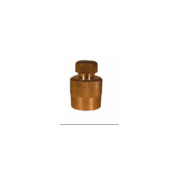 Auf dem Bild ist ein kleiner, zylinderförmiger Metallgegenstand zu sehen. Das Material ist vermutlich Messing und daher goldfarben. Das Objekt ist unten rund und hat einen geriffelten, rauen Bereich zum besseren Greifen. Oben befindet sich eine sechseckige Mutter, die aussieht wie der Kopf einer Schraube oder ein Ventil. Das gesamte Objekt sieht aus wie ein Verschluss, Adapter oder eine Kappe für ein technisches System, beispielsweise für eine Gasflasche oder als Teil einer Rohrverbindung.
