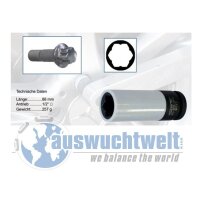 Das Bild zeigt einen speziellen Steckschlüssel...