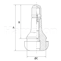 TR415 Ventil Gummi Snap-In Ventil Reifenventil 10...