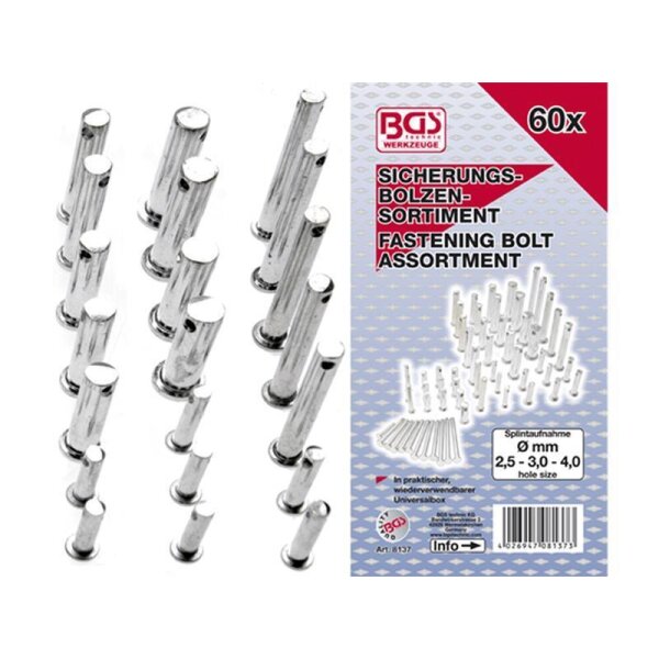 Das Bild zeigt silberne Sicherungsbolzen in mehreren Reihen und verschiedenen Größen. Rechts daneben ist eine Verpackung mit der Aufschrift BGS Werkzeuge 60x Sicherungs-Bolzen-Sortiment Fastening Bolt Assortment sowie einer Abbildung der enthaltenen Bolzen zu sehen. Weitere Angaben auf der Verpackung sind: Splintaufnahme Ø mm 2,5 - 3,0 - 4,0 hole size und der Hinweis, dass die Bolzen in einer praktischen, wiederverwendbaren Universalsbox geliefert werden. Es ist ein Barcode und die Artikelnummer 8137 abgedruckt.